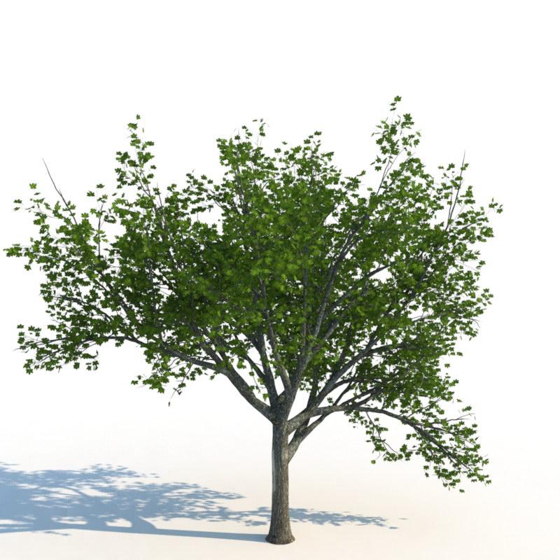 Unity trees. Дерево для Юнити. Деревья model. 2d модели деревьев. Дерево 3д модель.